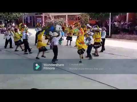 EL CILULO GAVILÁN - CARNAVALES DE CAJAMARCA/ 5TO -"C", 2023