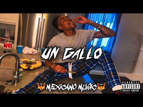 Valdez Garza - Un Gallo | CORRIDOS 2019