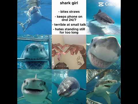 Sharks!! #awesomeness #pride #sharks #oceananimals #fall