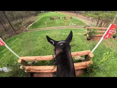 GoPro: Tullymurry Fifi (CCI 3*-S | 2025 Carolina International CCI & Horse Trials)