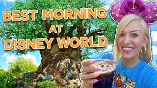 Disney World ROPE DROP: Animal Kingdom | Best Morning Ever - Popular Rides, Baby Tiger, Breakfast