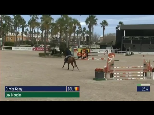 Hongre 5 ans Candy de Nantuel x Vagabond de la pomme 