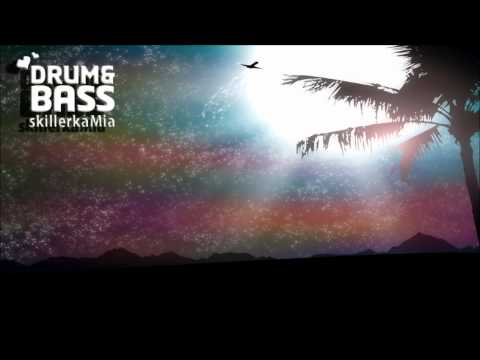 Bryzone - Crowded Skies