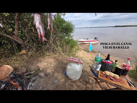 MUCHA PESCA en el canal viejo RAMALLO 🎣