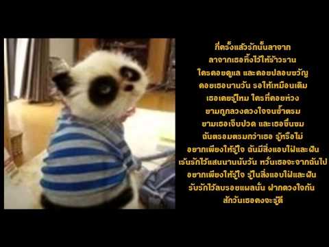 คลิกเพื่อดูคลิปวิดีโอ