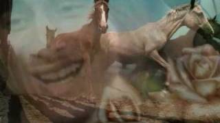 Journey with Steve Perry--Daydream