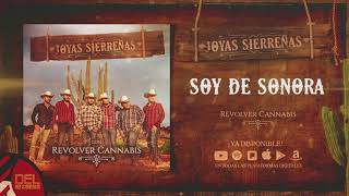 Soy De Sonora Lyrics English Translation