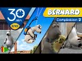 Bernard Bear Collection 02 30 Minutes