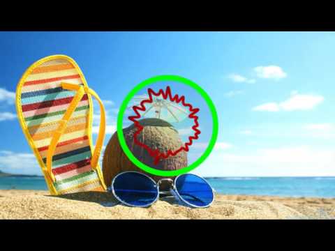 Vedde ft. C.Todd Nielsen - Run