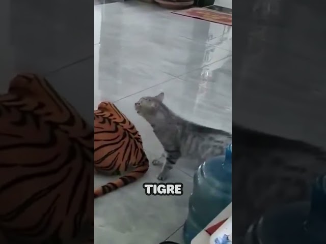 Vídeo relacionado con Manhattan Toy - Gato de Peluche (15x25.5x16.5 cm) (107790)
