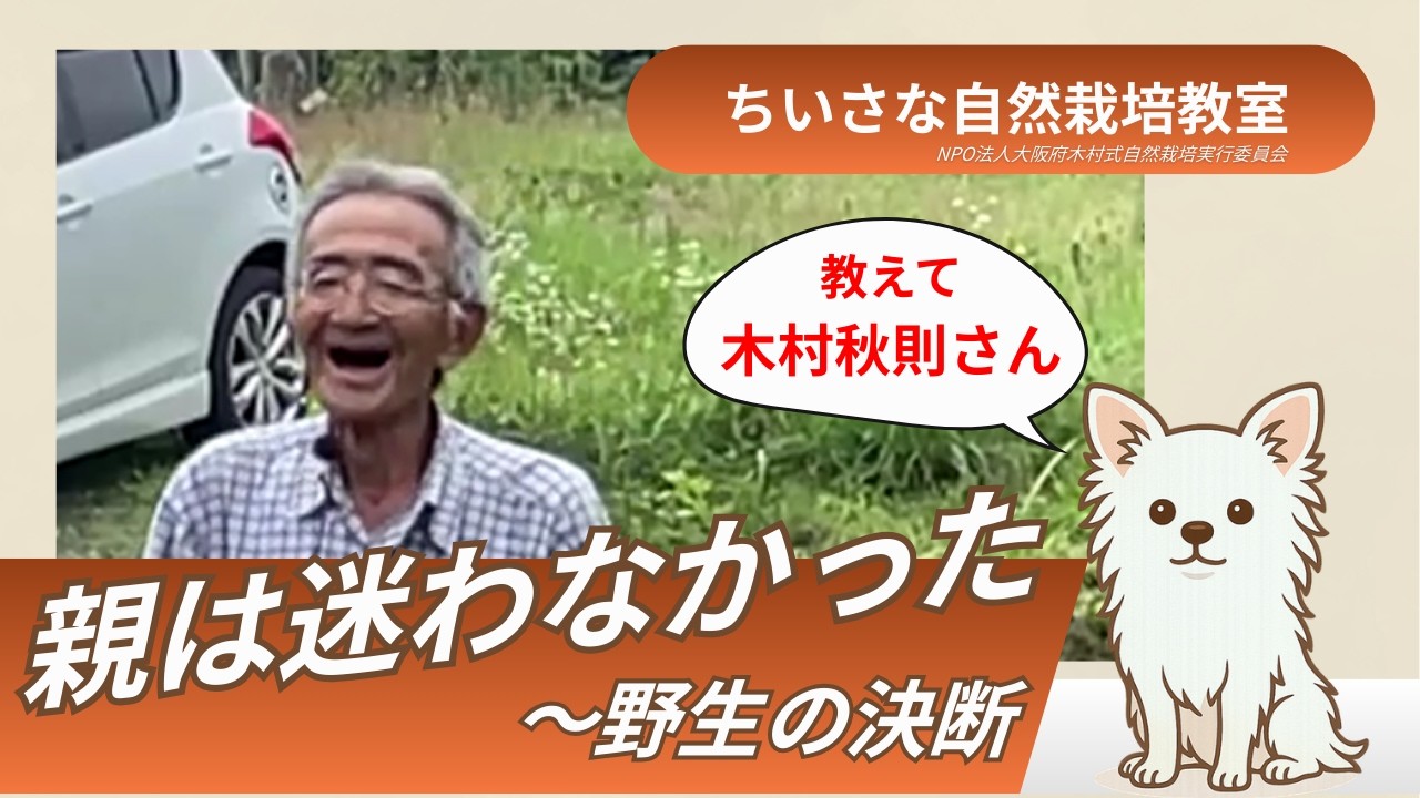 【自然栽培】野生の決断～親子の絆・リンゴ園で起こったこと【木村秋則さん】