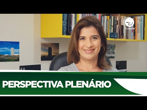 Veja o que pode ser votado no Plenário nesta semana - 29/06/20