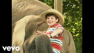 Cedarmont Kids - The Animal Fair