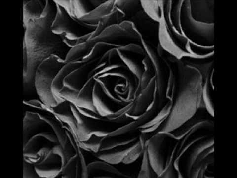 Ikon - Black Roses