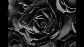 Ikon - Black Roses