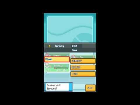 Pokemon Soul Silver Walkthrough Part 11 - TM Flash and Dark Cave Part 1