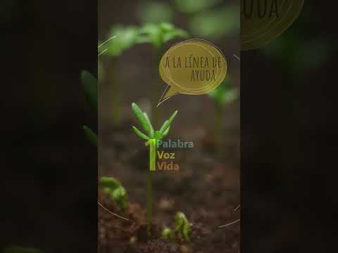 Poster image for &ldquo;Un momento no dura para siempre&rdquo; video