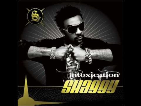 shaggy feat Lord kossity &akon what's love french version