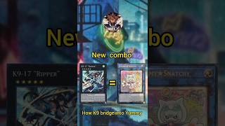 how K9 bridge into yummy #yugioh #tcg #branded #yugiohcards #遊戯王 #masterduel #postbanlist
