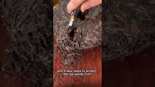 Download lagu Aged Pu'er tea#tea #teatime #puertea #chinesetea #teatray #teapots #gaiwan #traditional #culture mp3 Download lagu Aged Pu'er tea#tea #teatime #puertea #chinesetea #teatray #teapots #gaiwan #traditional #culture mp3