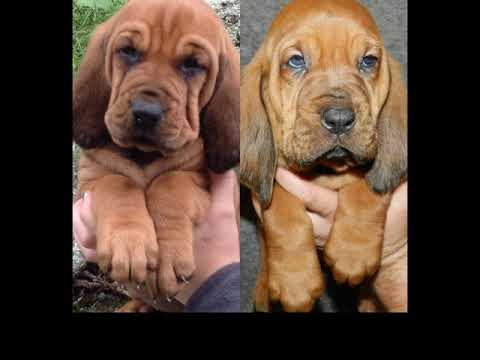 Happy Birthday Sonya!