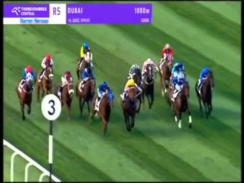 The Dubai World Cup Sprint. The Alquoz . Buffering is a superstar!