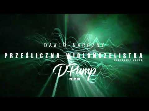 Dawid Narożny - Prześliczna Wiolonczelistka (Skaldowie cover) (D-Pump Remix)