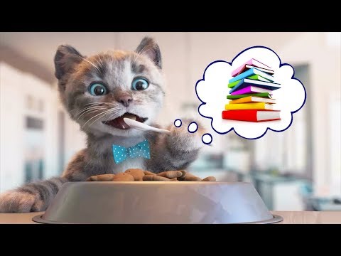 Fun Pet Animal Care Kids Games - Little Kitten Preschool - Educational Games for Kids