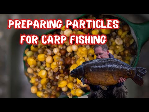 Preparing particles for carp fishing