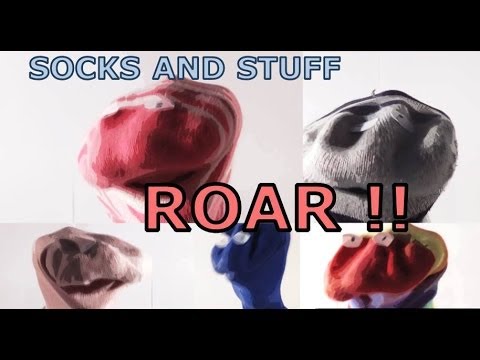 ROAR - Katy Perry [Official SocksandStuff Cover]