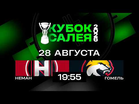 Неман - Гомель | 28.08.2026 | 1/4 финала | Кубок Салея | Прямая трансляция
