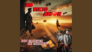 Un Viejo Amor