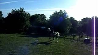 If tomorrow :: n e v e r :: comes