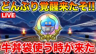【ドラクエウォーク】どんぶりスライムの覚醒性能がヤバいらしい!! 牛丼におい袋使って行くぞ～!!【DQW】