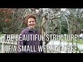 The Beautiful Structure Of A Small Weeping Tree