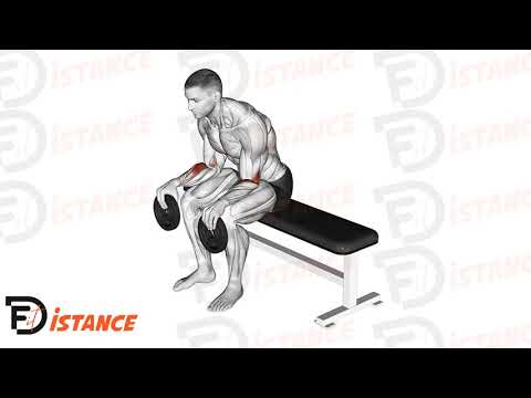 Exercice Flexion des poignets assis avec disque