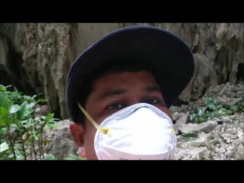 Walk into a huge Cave in Kampot with thousands of bats (Chaerephon plicatus)