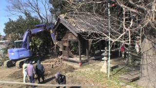 preview picture of video 'Sacred snake　Osugi Jinja demolition　蛇がいた　大杉神社　解体'