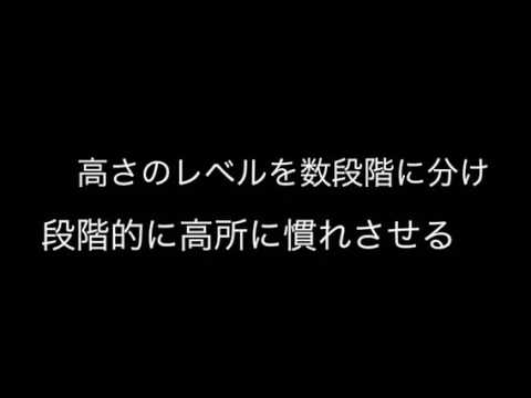情報システム学科 A01 ドローンを用いた高所恐怖症の克服を支援するプロジェクト