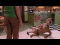 Scoobydoo Fart Compilation