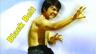 Download lagu Wu Tang Collection - Black Belt mp3