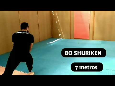 Bo Shuriken Ninjutsu - Bujinkan Budo Taijutsu