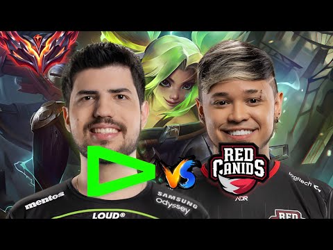 LOUD VS RED CANIDS NA SOLOQ! LOUD ROBO x RED TITAN NO HIGH ELO - PLAYOFFS TREINOS