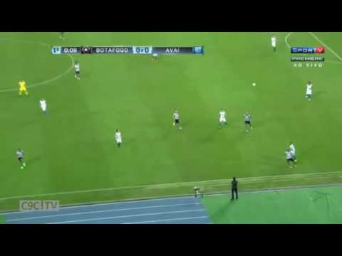 MELHORES MOMENTOS - Botafogo 0 x Avaí 2
