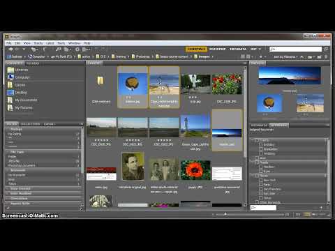 Adobe Bridge video thumbnail
