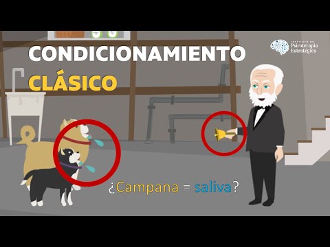 Condicionamiento clásico de Pavlov con ejemplos: Así funciona (Resumen animado)