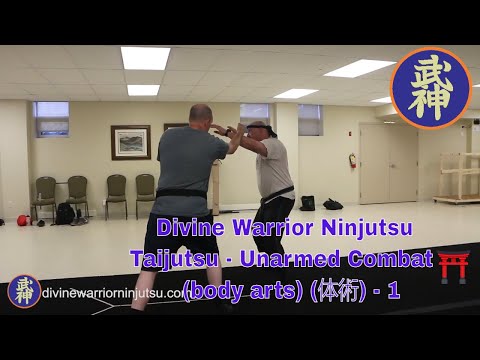 1 - Taijutsu - Unarmed Combat (body arts) (体術)