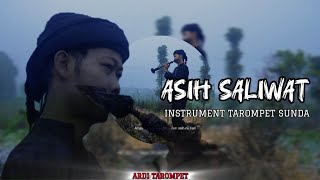 Download lagu VIRAL DI TIKTOK 'ASIH SALIWAT' Instrumen Merdu Tarompet Sunda bikin Sedih ‼️ fyp di tiktok mp3