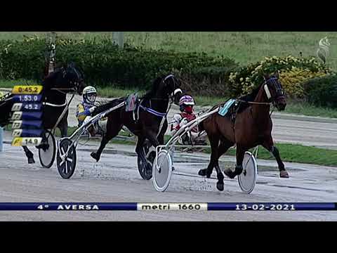 Aversa trotto 13 Febbraio 2021 - 4° Corsa