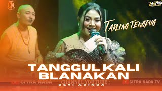 Download lagu TANGGUL KALI BLANAKAN // CITRA NADA LIVE JL.PANTAI WIDURI - PEMALANG mp3